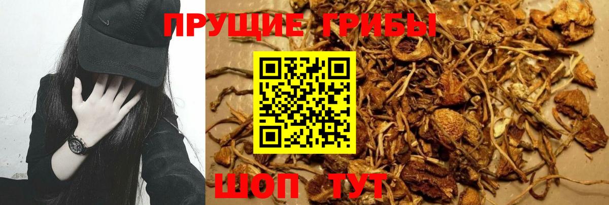 Галлюциногенные грибы Magic Shrooms Кондопога