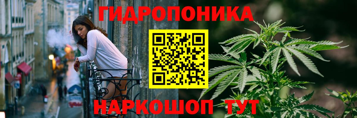 Шишки марихуана THC 21% Кондопога